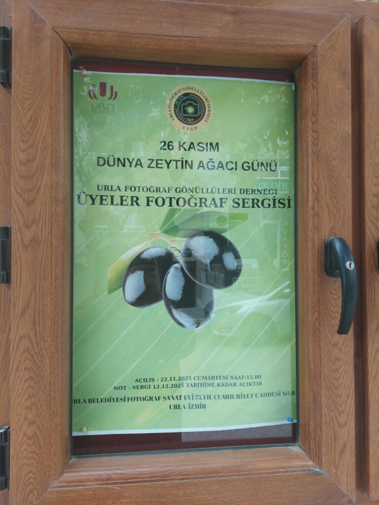 whatsapp image 2025 11 29 at 23.39.01