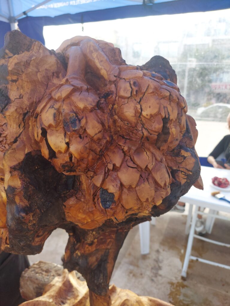 whatsapp image 2025 11 29 at 23.39.43 (1)