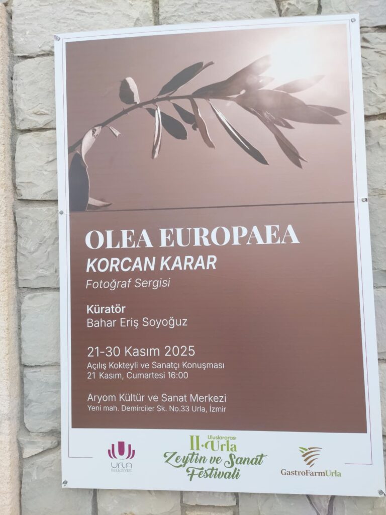 whatsapp image 2025 11 30 at 15.07.28 (2)